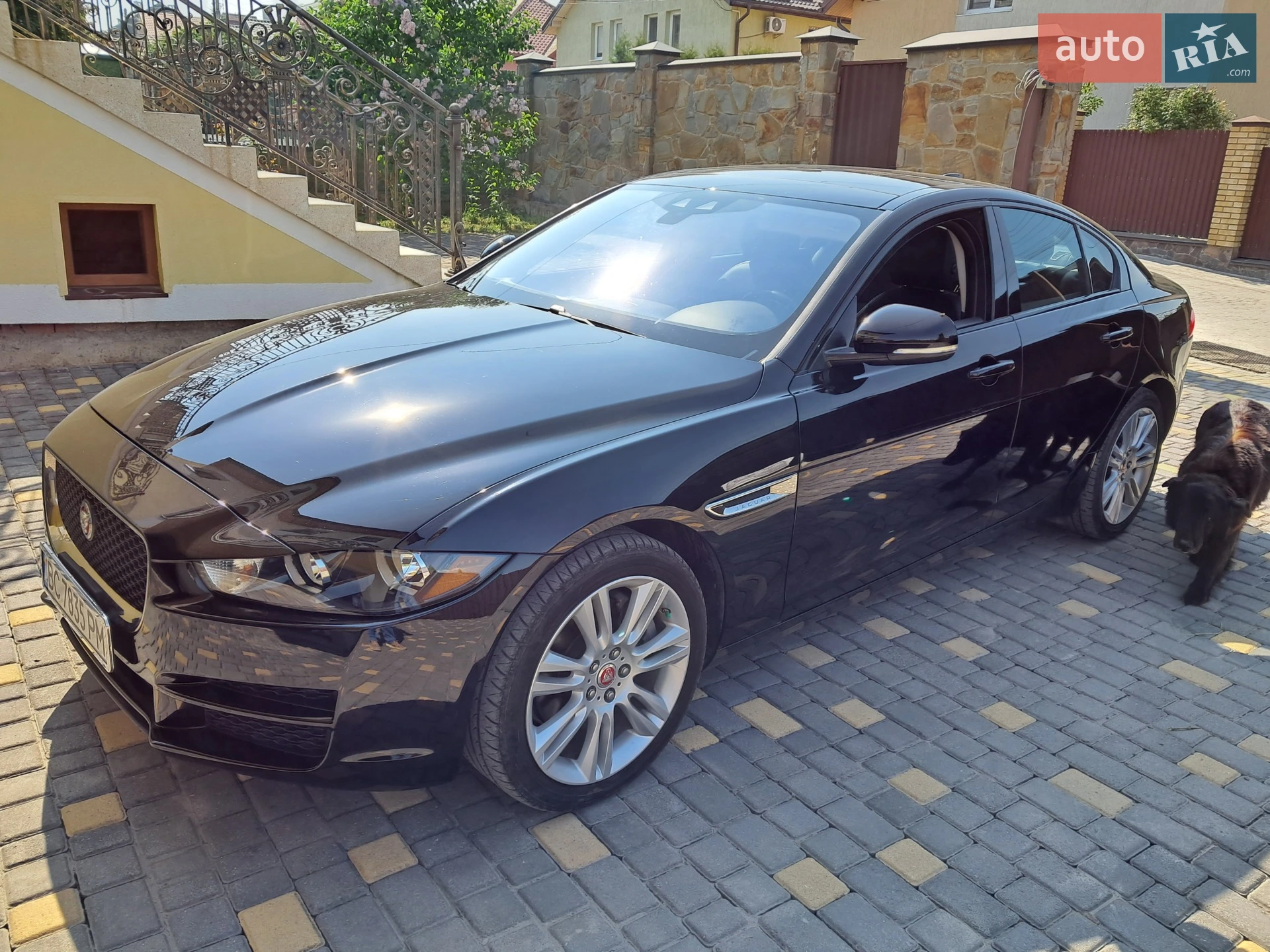 2019 Jaguar XE - мініатюра 17