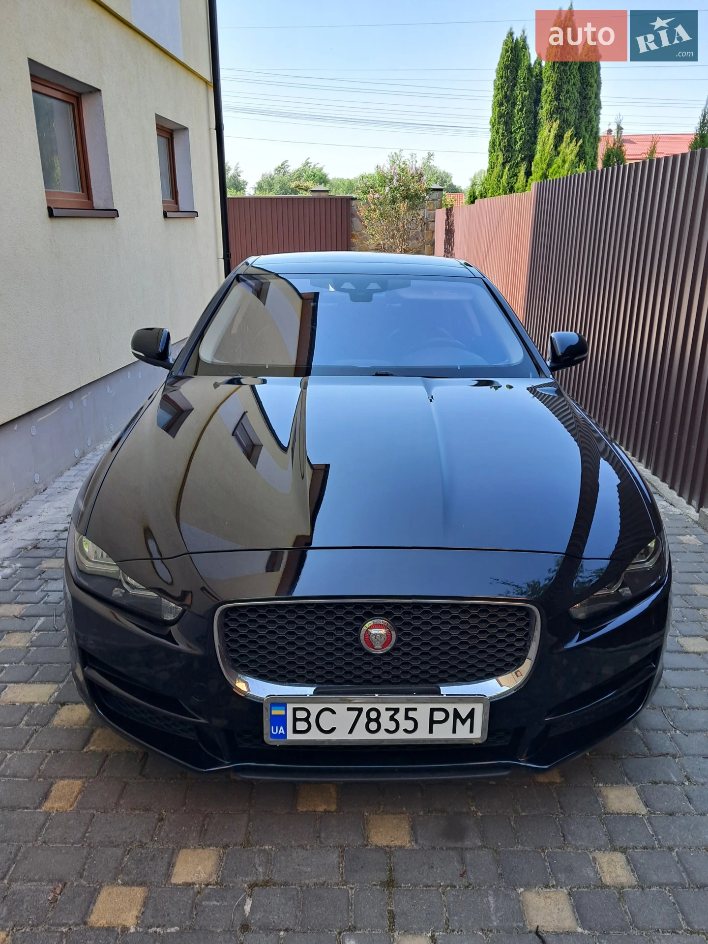 2019 Jaguar XE - мініатюра 7