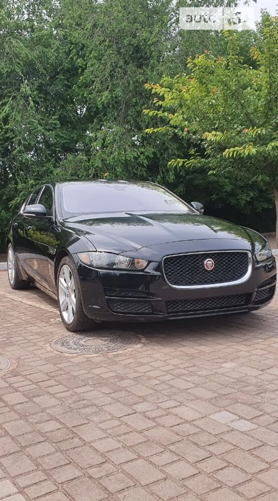 2016 Jaguar XE - мініатюра 3