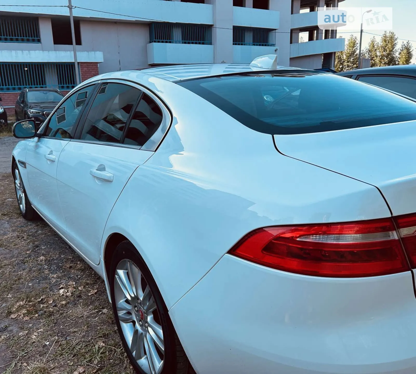 2019 Jaguar XE - мініатюра 4