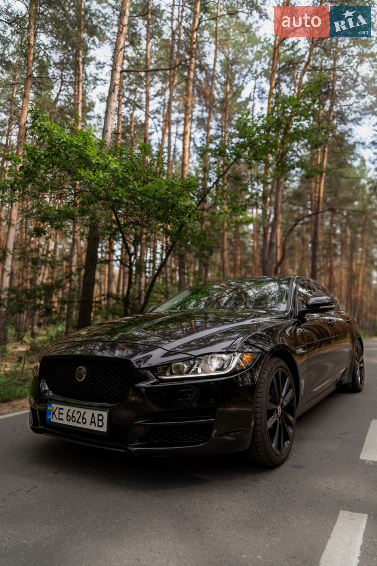 2016 Jaguar XE - мініатюра 5