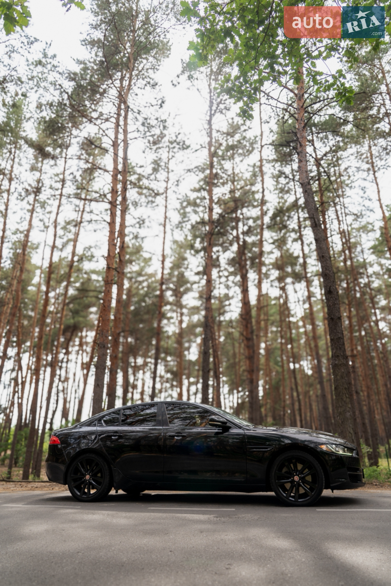 2016 Jaguar XE - мініатюра 8