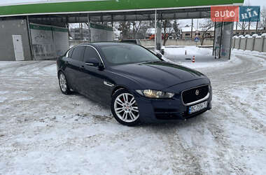 Седан Jaguar XE 2016 в Житомирі