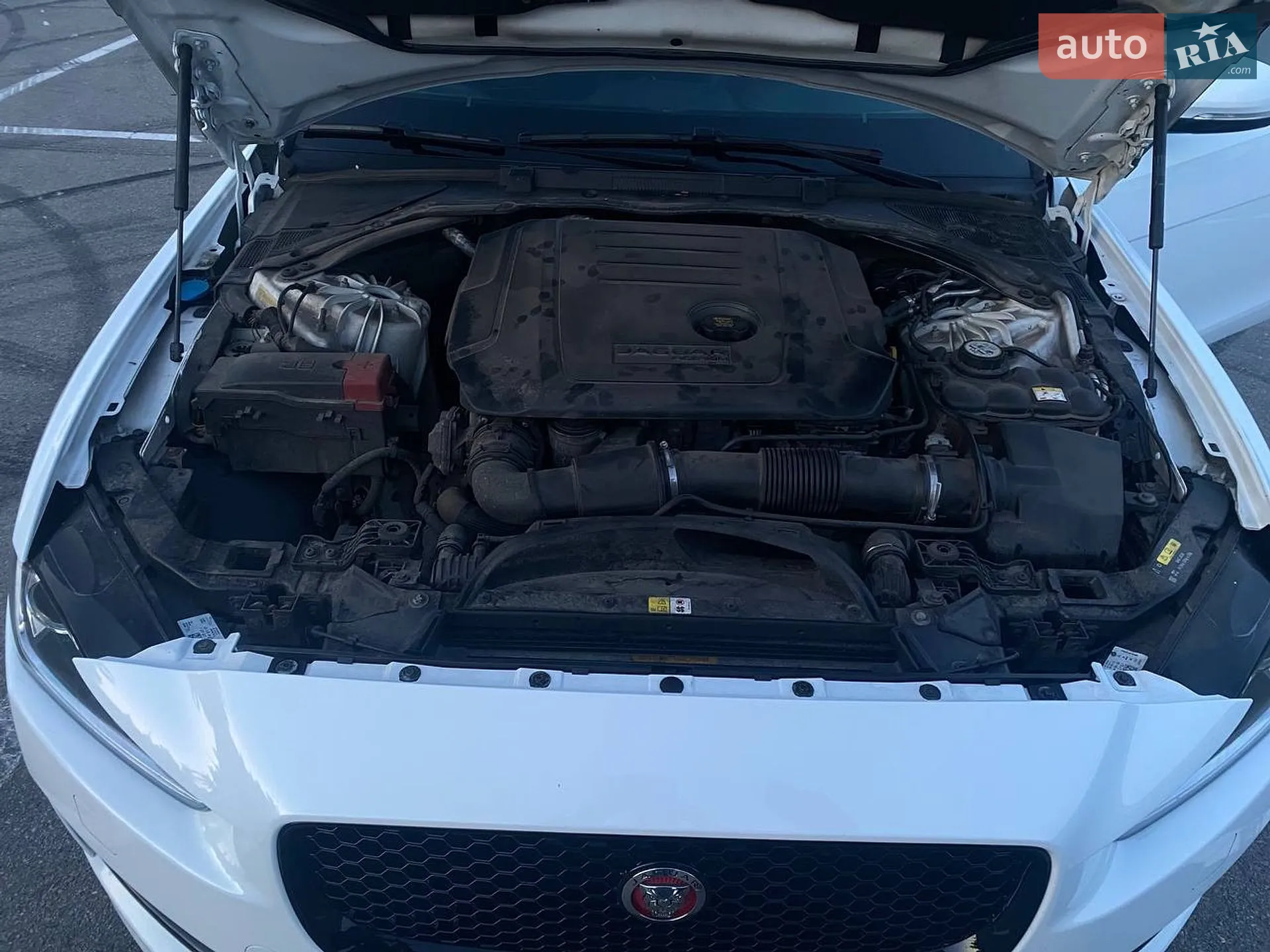 2016 Jaguar XE - мініатюра 14