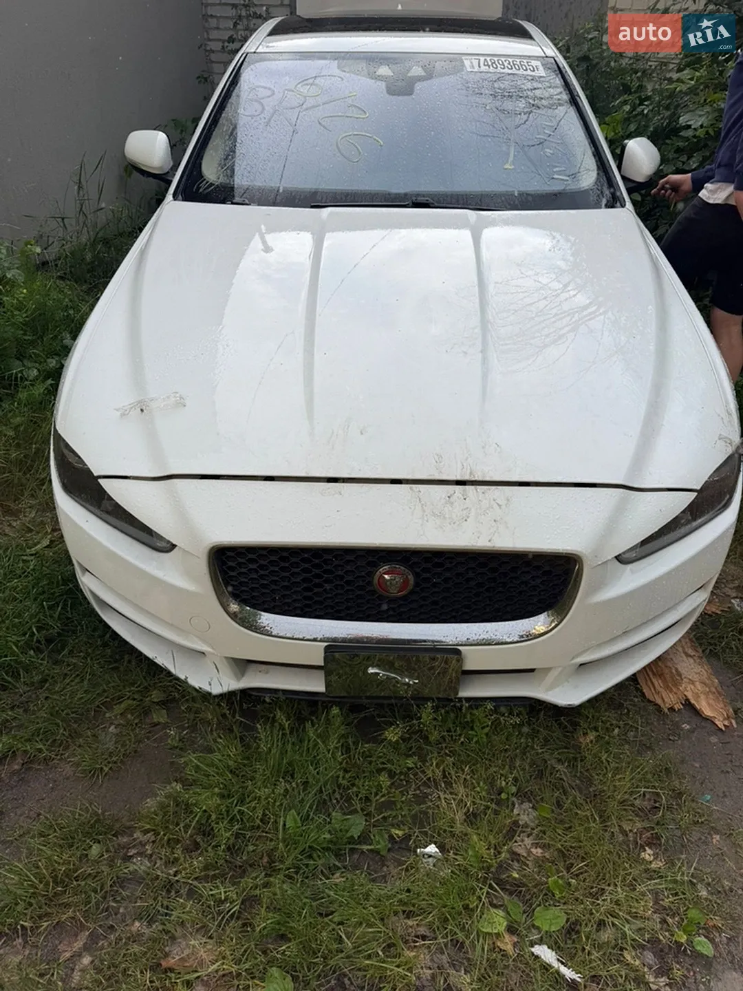 2017 Jaguar XE - мініатюра 6