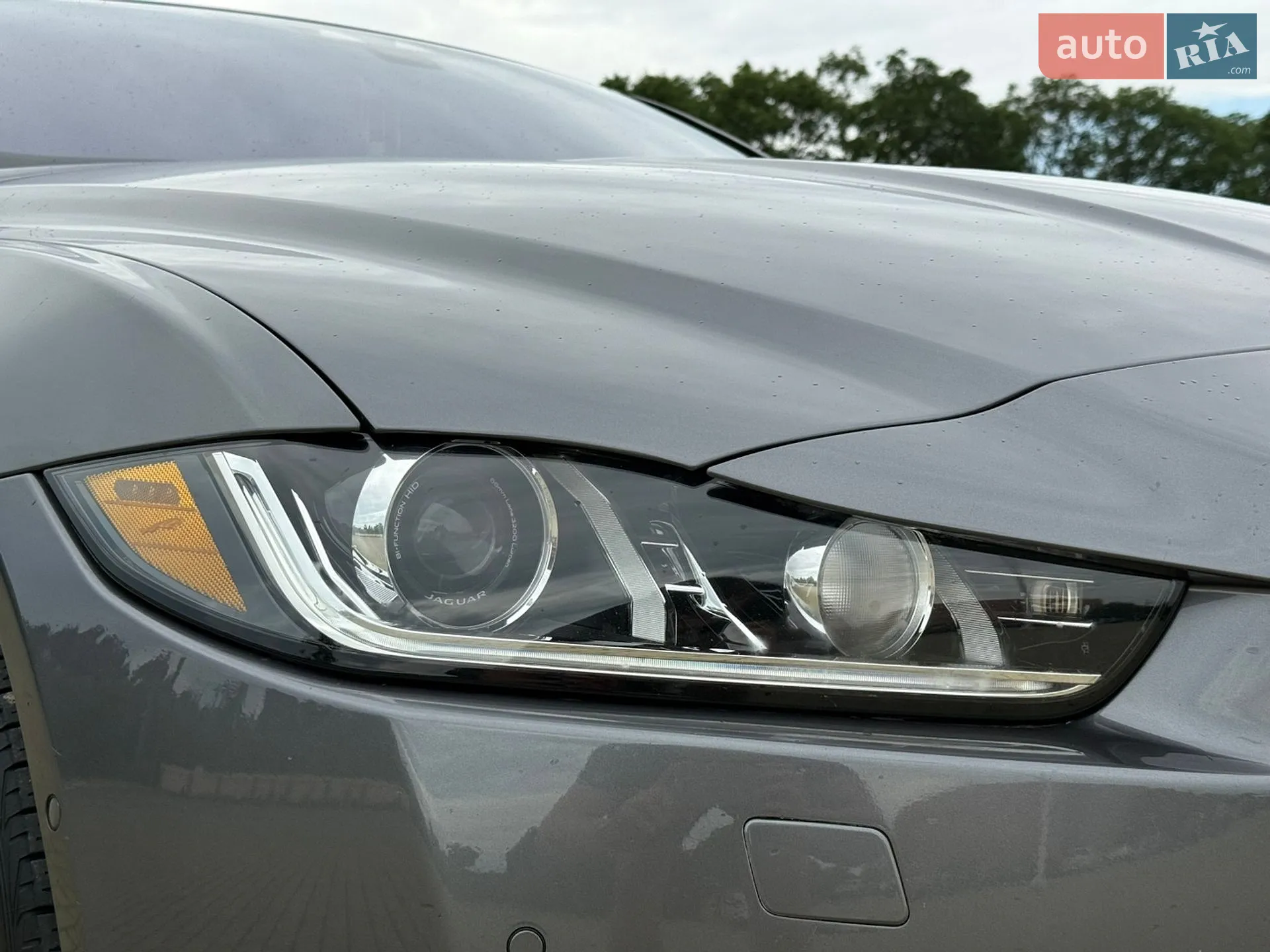 2016 Jaguar XE - мініатюра 9