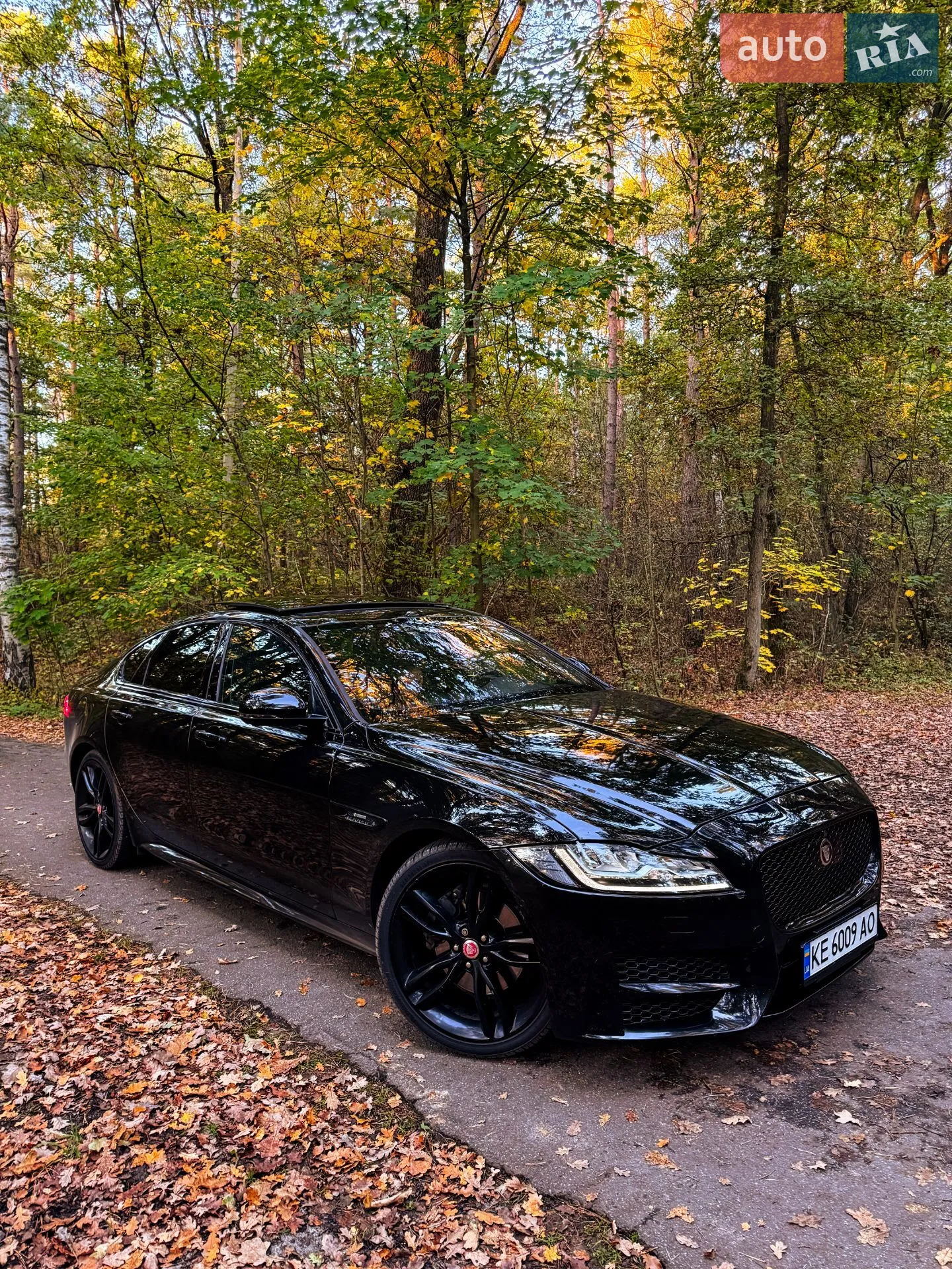 2016 Jaguar XF - мініатюра 9
