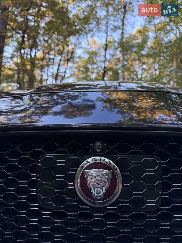 Седан Jaguar XF 2016 в Кривом Роге фото 17 Седан Jaguar XF 2016 в Кривом Роге