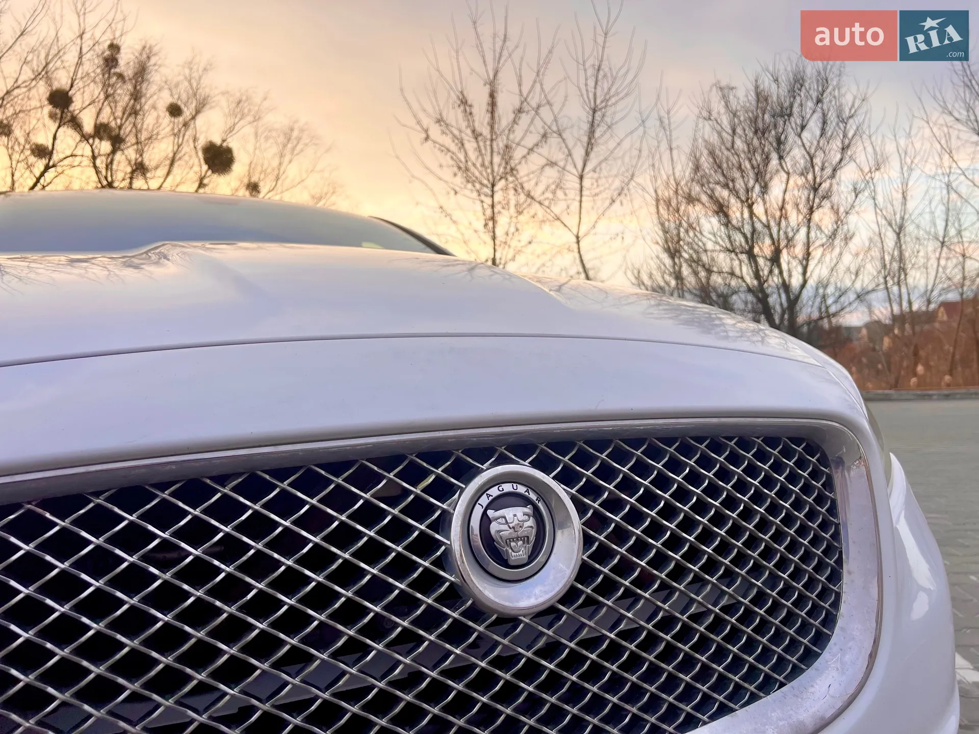 2012 Jaguar XJ - мініатюра 6