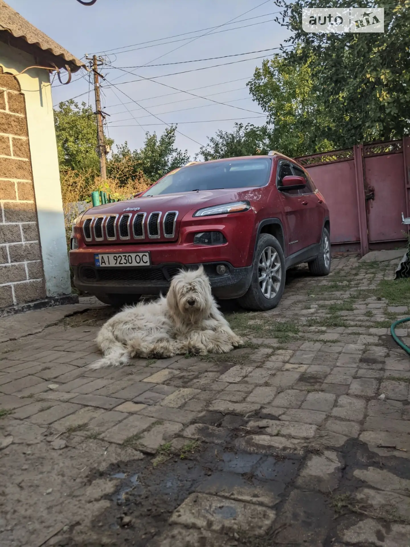 2013 Jeep Cherokee - фото 1