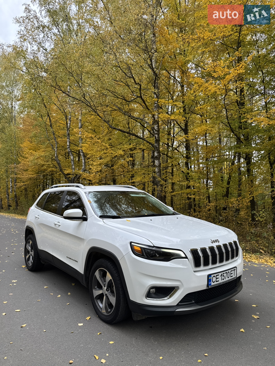 2019 Jeep Cherokee - мініатюра 16
