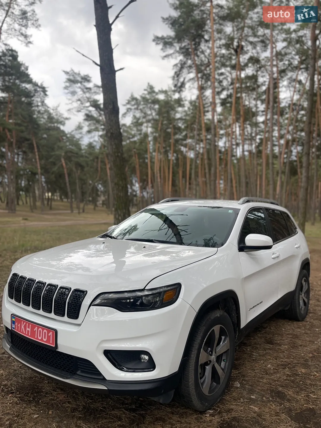 2019 Jeep Cherokee - мініатюра 4