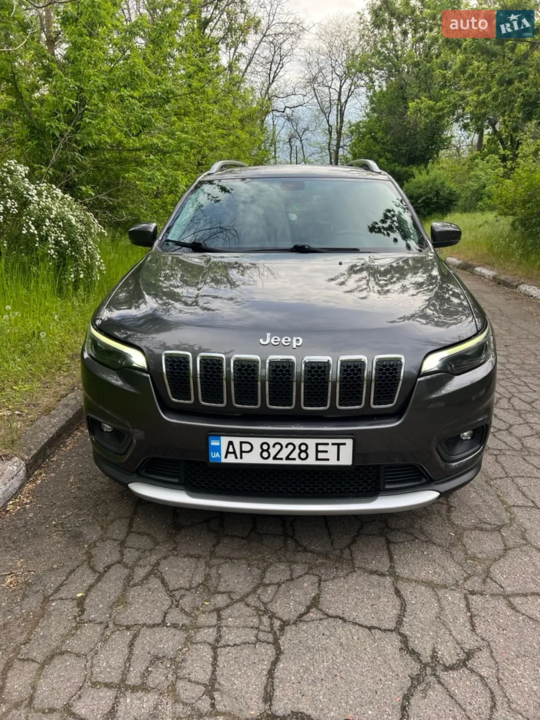 Jeep Cherokee 2019 VIN 1C4PJLLB9KD382311 фото оголошення 9 з 15