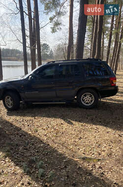 Позашляховик / Кросовер Jeep Grand Cherokee 1999 в  фото 4 Позашляховик / Кросовер Jeep Grand Cherokee 1999 в