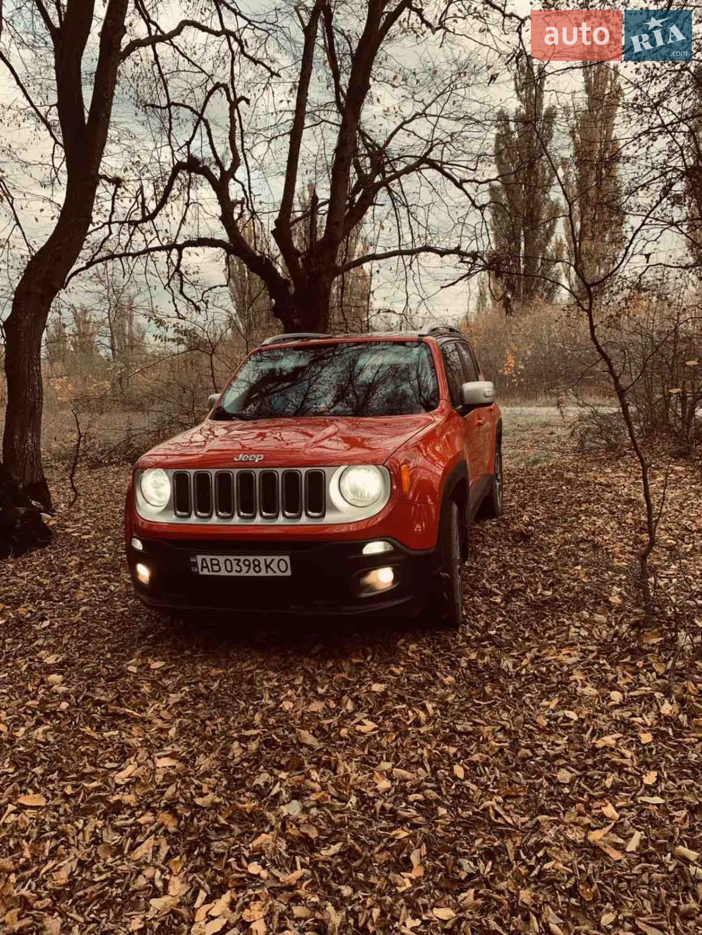 2015 Jeep Renegade - мініатюра 48