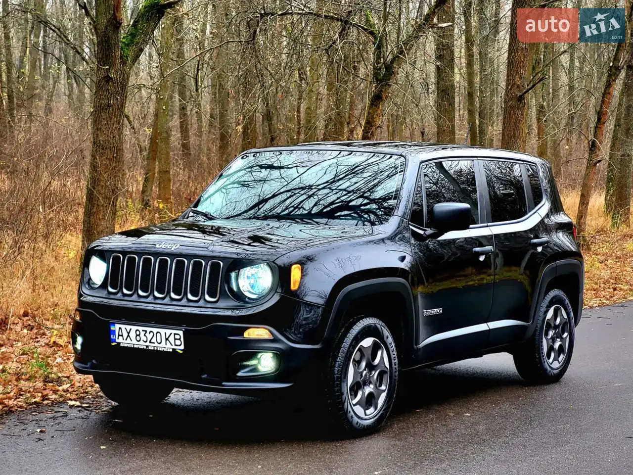 2015 Jeep Renegade - мініатюра 15