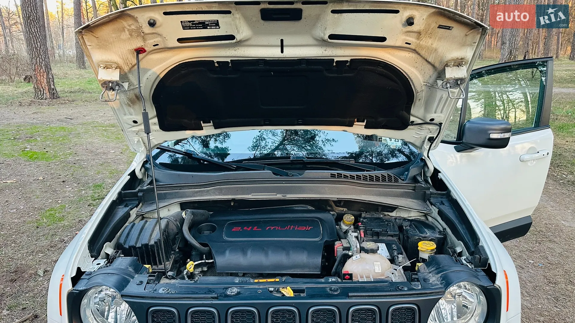 2018 Jeep Renegade - мініатюра 20