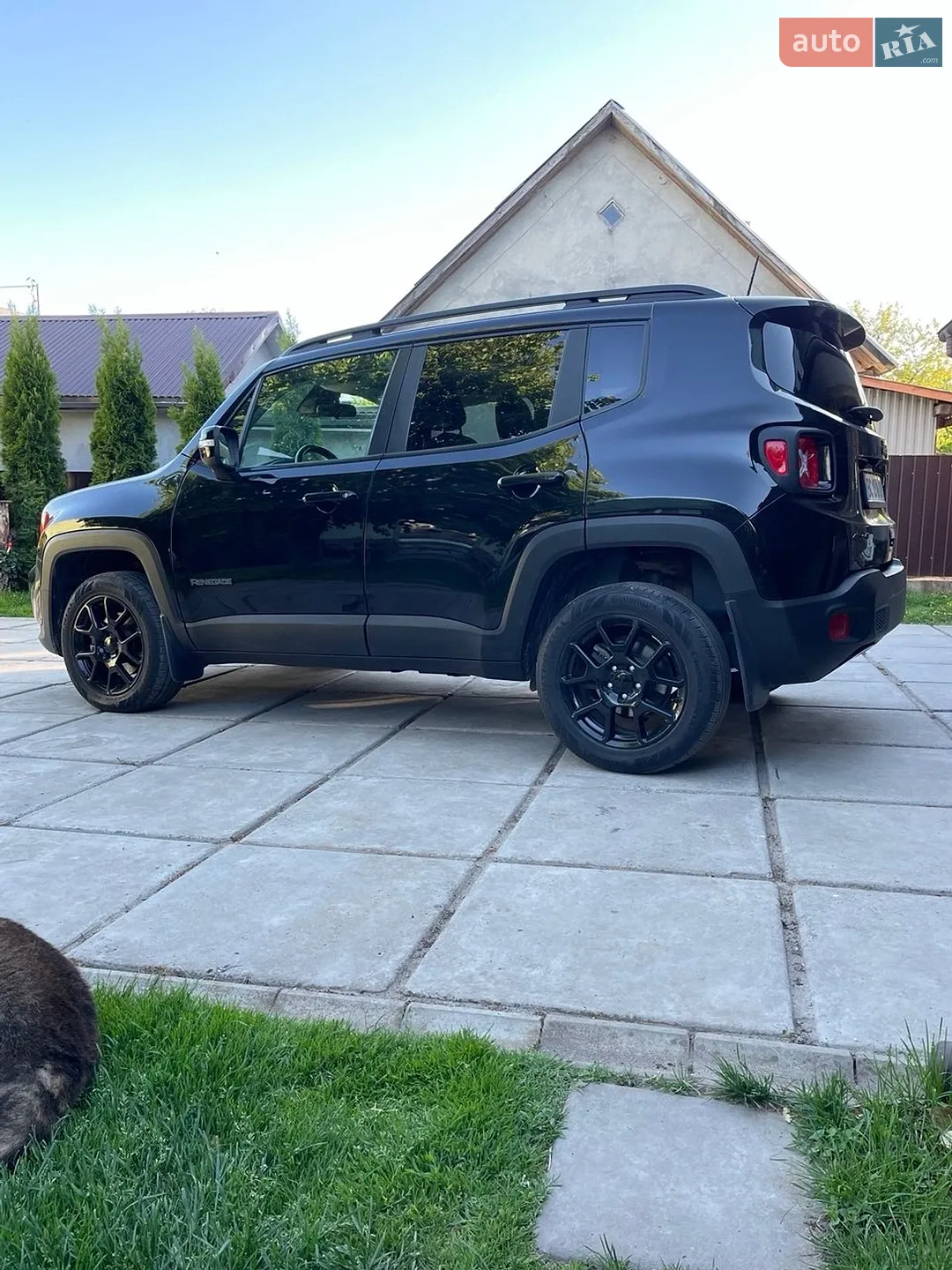 2019 Jeep Renegade - мініатюра 4