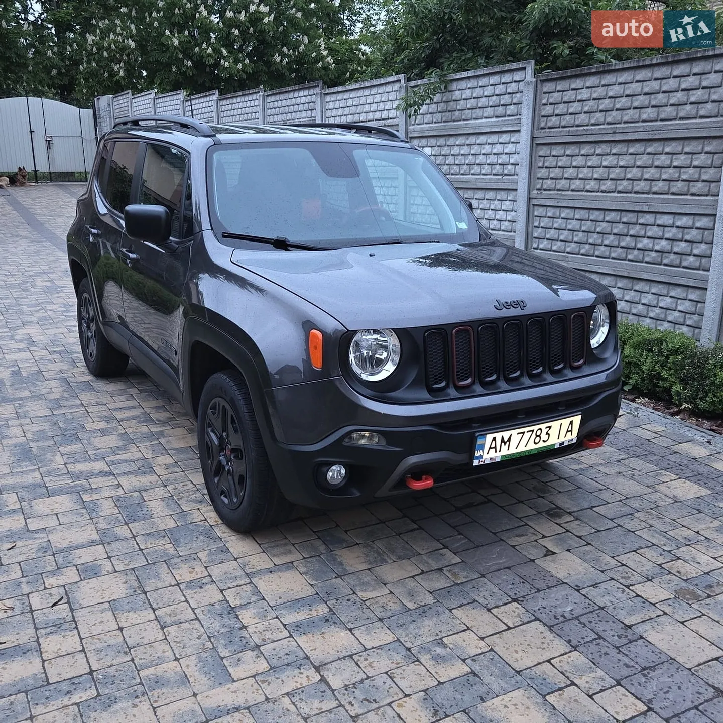 2018 Jeep Renegade - фото 1