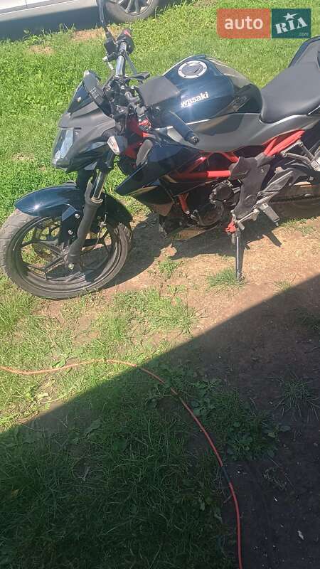 Мотоцикл Без обтікачів (Naked bike) Kawasaki 250 2018 в Чернівцях
