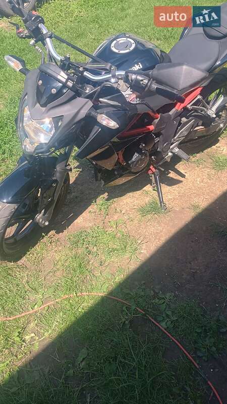 Мотоцикл Без обтікачів (Naked bike) Kawasaki 250 2018 в Чернівцях