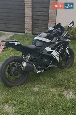Спортбайк Kawasaki EX 300 2014 в 
