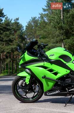 Спортбайк Kawasaki EX 300 2014 в 