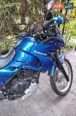 Мотоцикл Многоцелевой (All-round) Kawasaki KLE 250 Anhelo 1994 в 