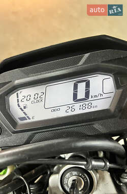 Мотоцикл Кросс Kawasaki KLX 250 2020 в 