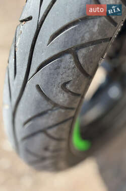 Мотоцикл Без обтекателей (Naked bike) Kawasaki Ninja 250 2010 в 