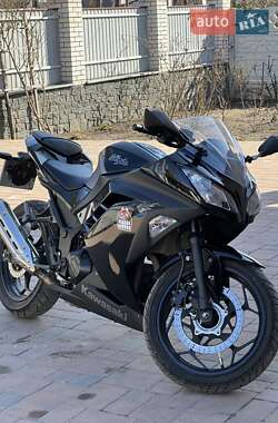 Грузовые мотороллеры, мотоциклы, скутеры, мопеды Kawasaki Ninja 300 2013 в 