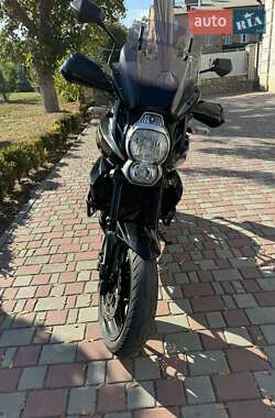 Мотоцикл Багатоцільовий (All-round) Kawasaki Versys 650 2010 в 