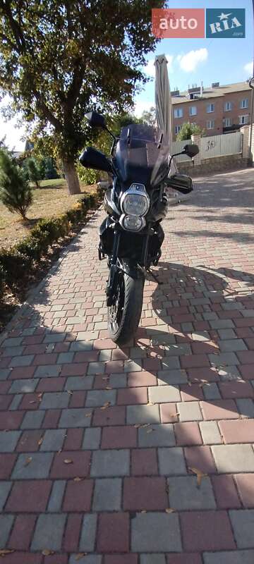 Мотоцикл Многоцелевой (All-round) Kawasaki Versys 650 2010 в Хороле