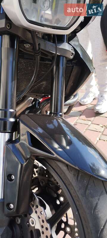 Мотоцикл Многоцелевой (All-round) Kawasaki Versys 650 2010 в Хороле