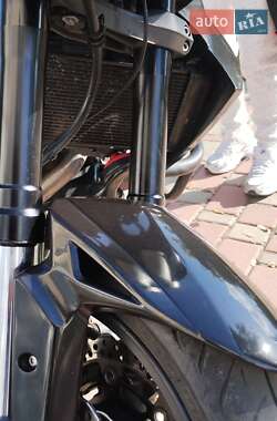 Мотоцикл Багатоцільовий (All-round) Kawasaki Versys 650 2010 в 