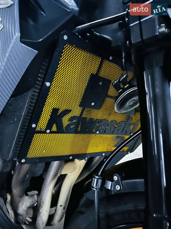 Мотоцикл Без обтекателей (Naked bike) Kawasaki Z 1000 2013 в Киеве