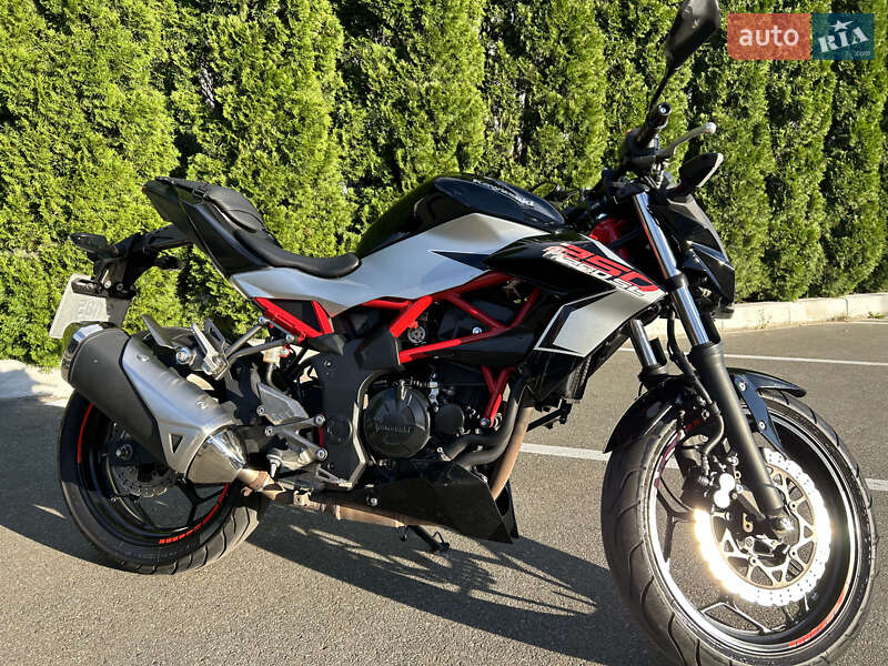 Мини спорт Kawasaki Z 250SL 2018 в Киеве