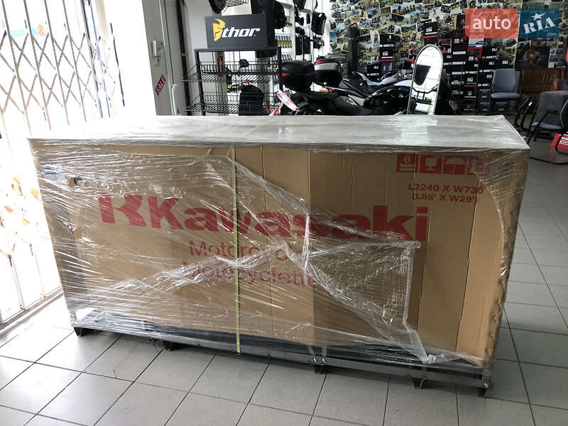Мотоцикл Без обтекателей (Naked bike) Kawasaki Z 250SL 2018 в Орловщине