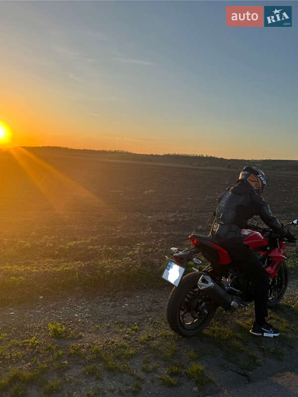 Мотоцикл Без обтекателей (Naked bike) Kawasaki Z 250SL 2017 в Черновцах