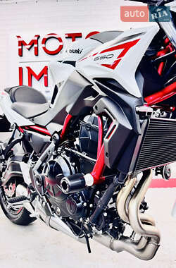 Спортбайк Kawasaki Z 650 2022 в 