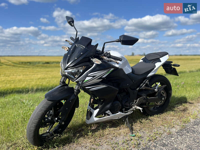 Мотоцикл Без обтекателей (Naked bike) Kawasaki Z 2014 в 