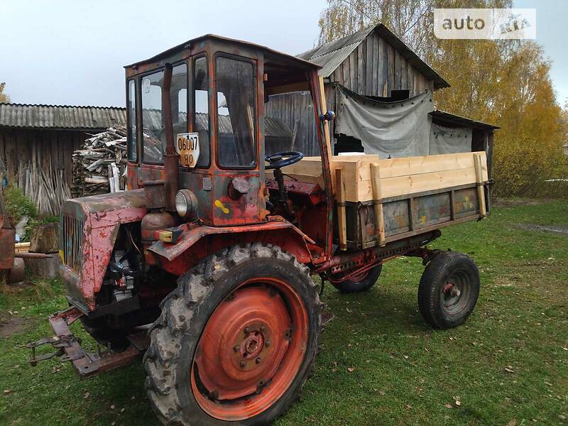 Мінітрактор ХТЗ Т-16 1981 в Рокитному