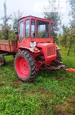 Трактор сельскохозяйственный ХТЗ Т-40 1984 в Баре