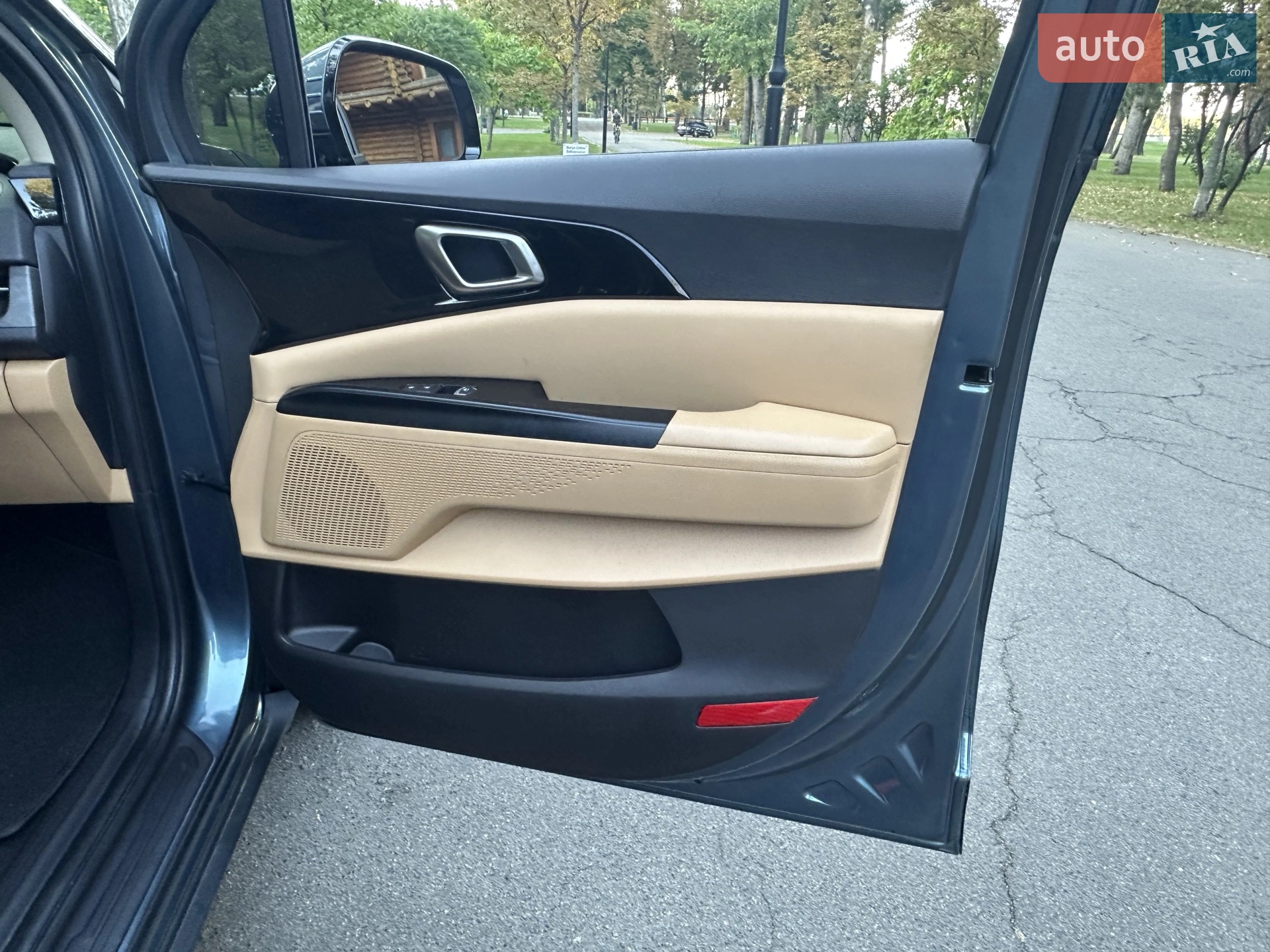 2020 Kia Carnival - мініатюра 59