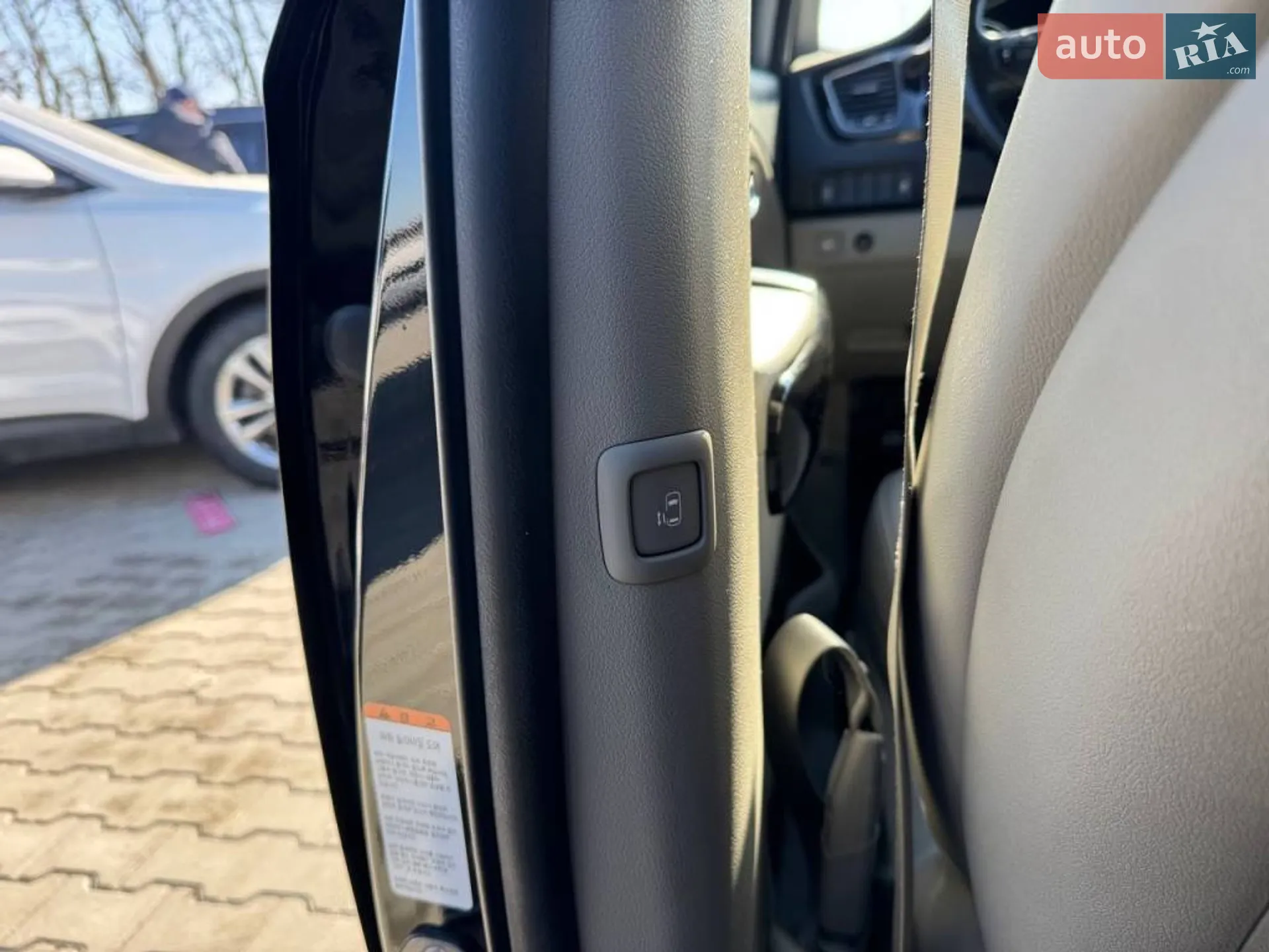 2019 Kia Carnival - мініатюра 10
