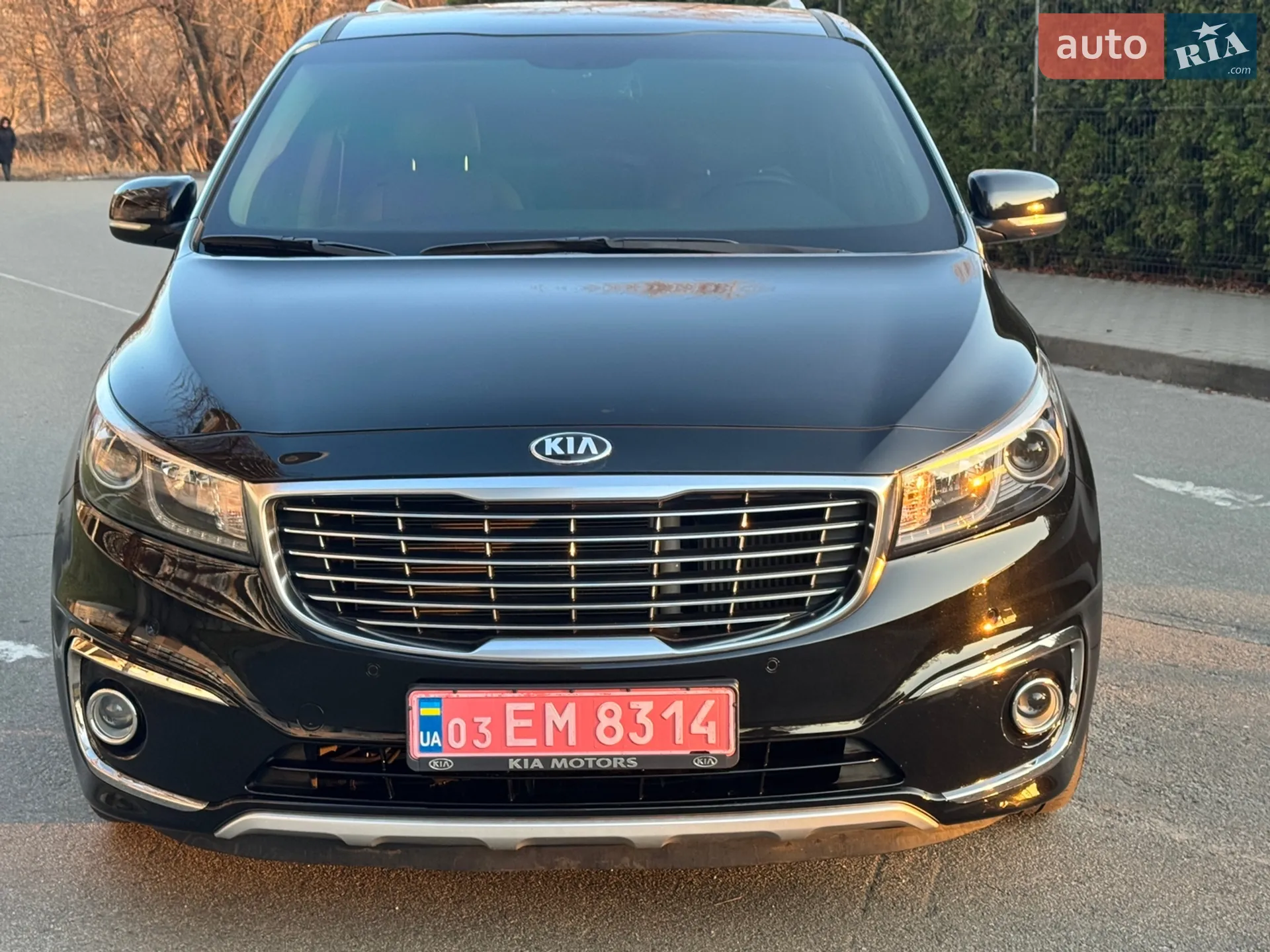 2018 Kia Carnival - мініатюра 13