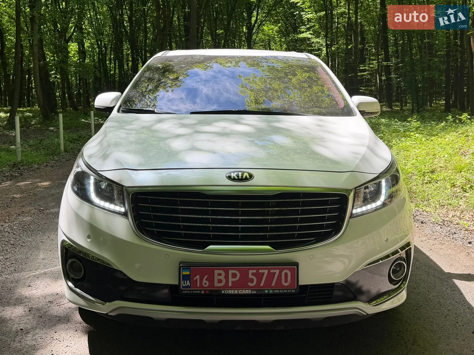 2018 Kia Carnival - мініатюра 10