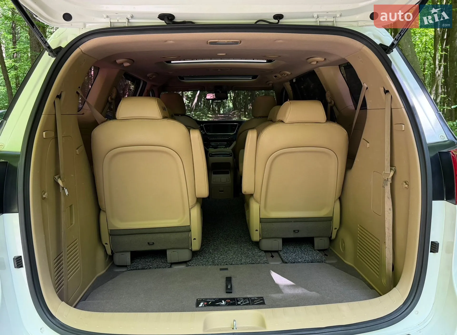 2018 Kia Carnival - мініатюра 43