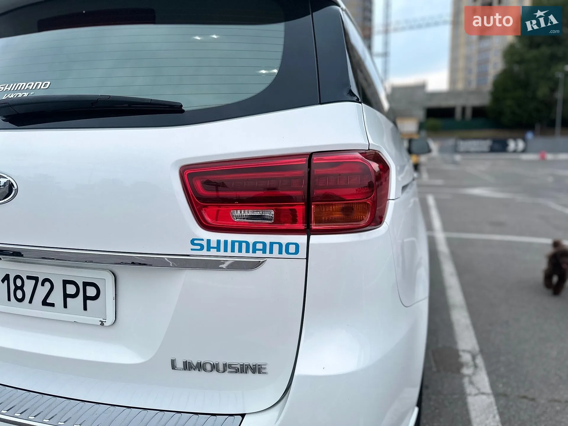 2019 Kia Carnival - мініатюра 6