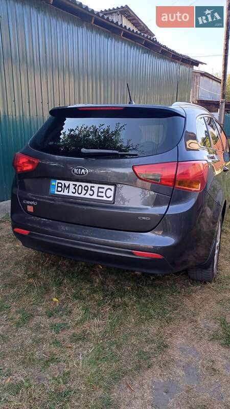 Универсал Kia Ceed 2013 в Новгород-Северском